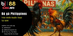 Đá gà Philippines – Trận Chiến Huyền Thoại Tại bj88